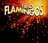 Trio Flamingos